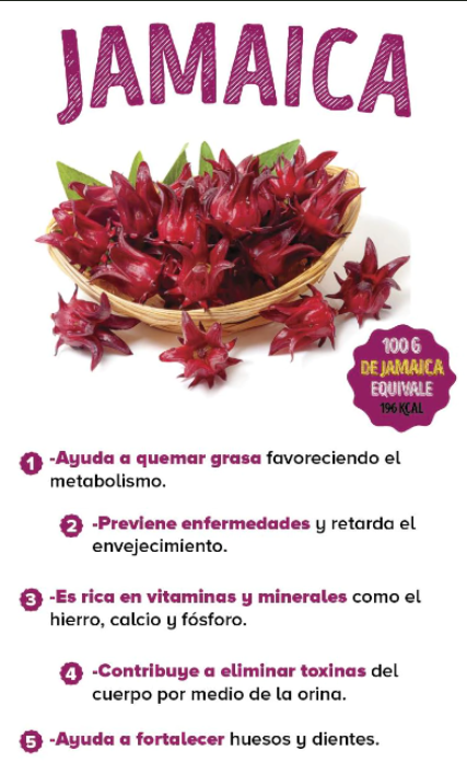benecicios de la flor de jamaica